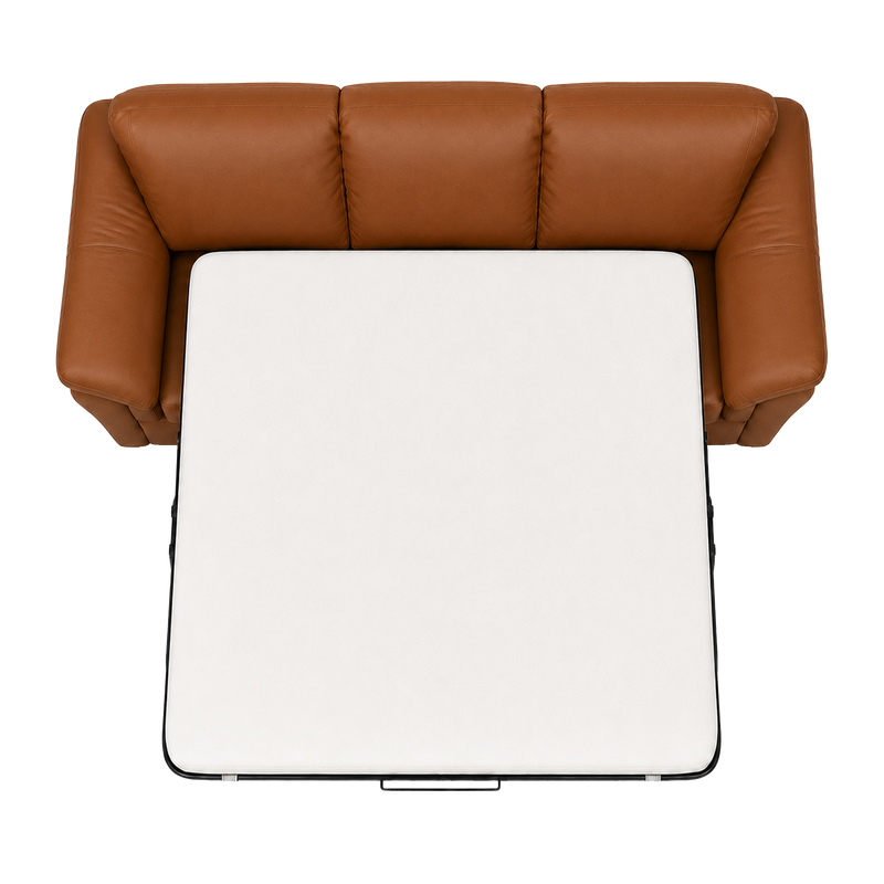 Lyons Leather Sofa Sleeper