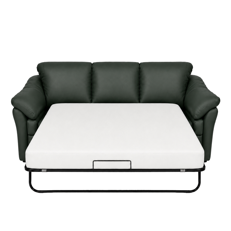 Lyons Leather Sofa Sleeper