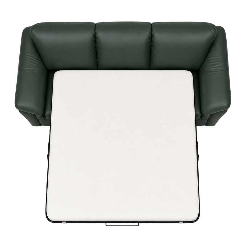 Lyons Leather Sofa Sleeper