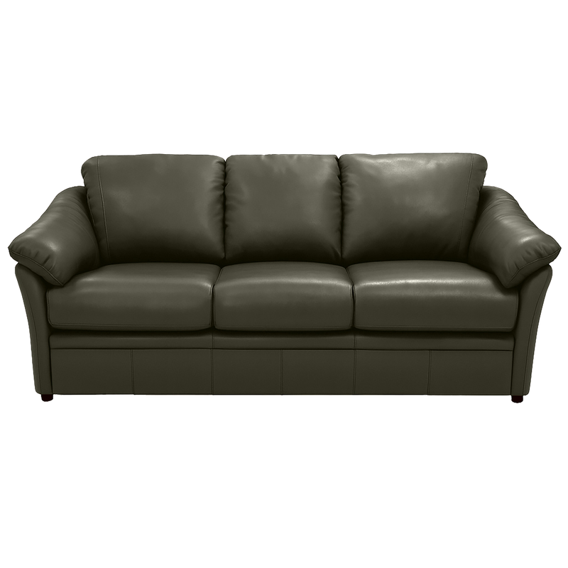 Lyons Leather Sofa Sleeper