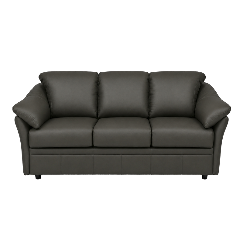 Lyons Leather Sofa Sleeper