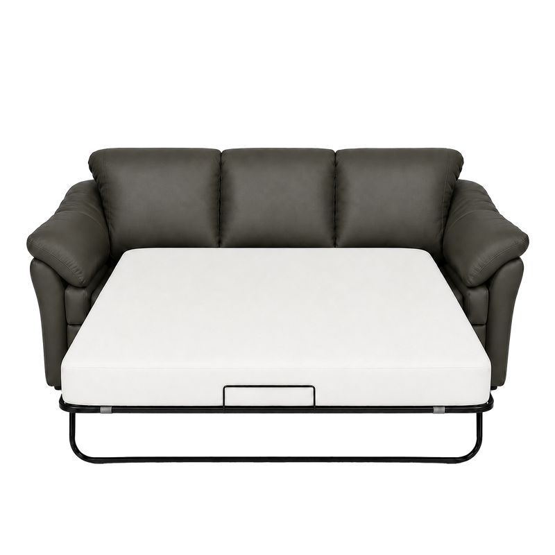 Lyons Leather Sofa Sleeper