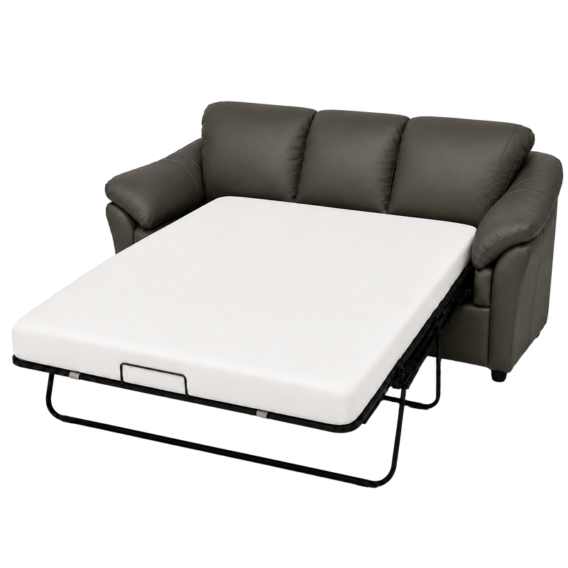 Lyons Leather Sofa Sleeper