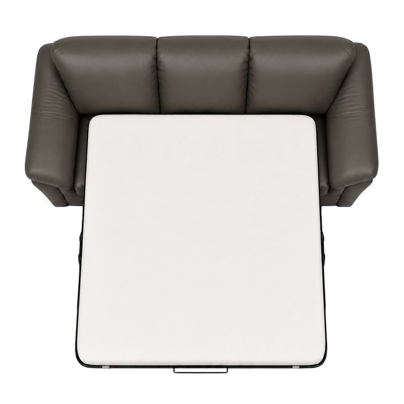Lyons Leather Sofa Sleeper