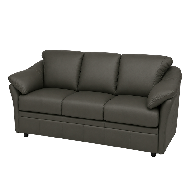 Lyons Leather Sofa Sleeper