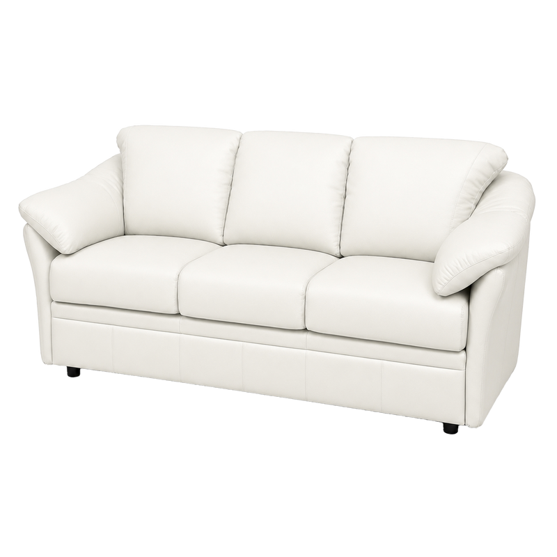 Lyons Leather Sofa Sleeper
