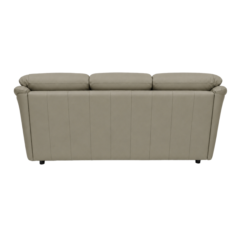 Lyons Leather Sofa Sleeper