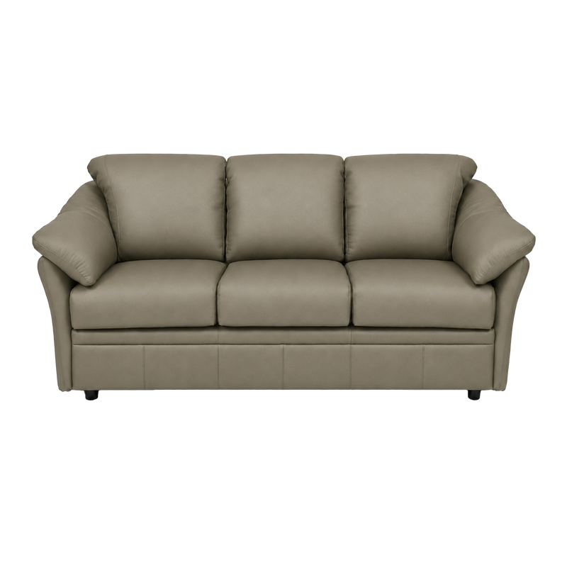 Lyons Leather Sofa Sleeper