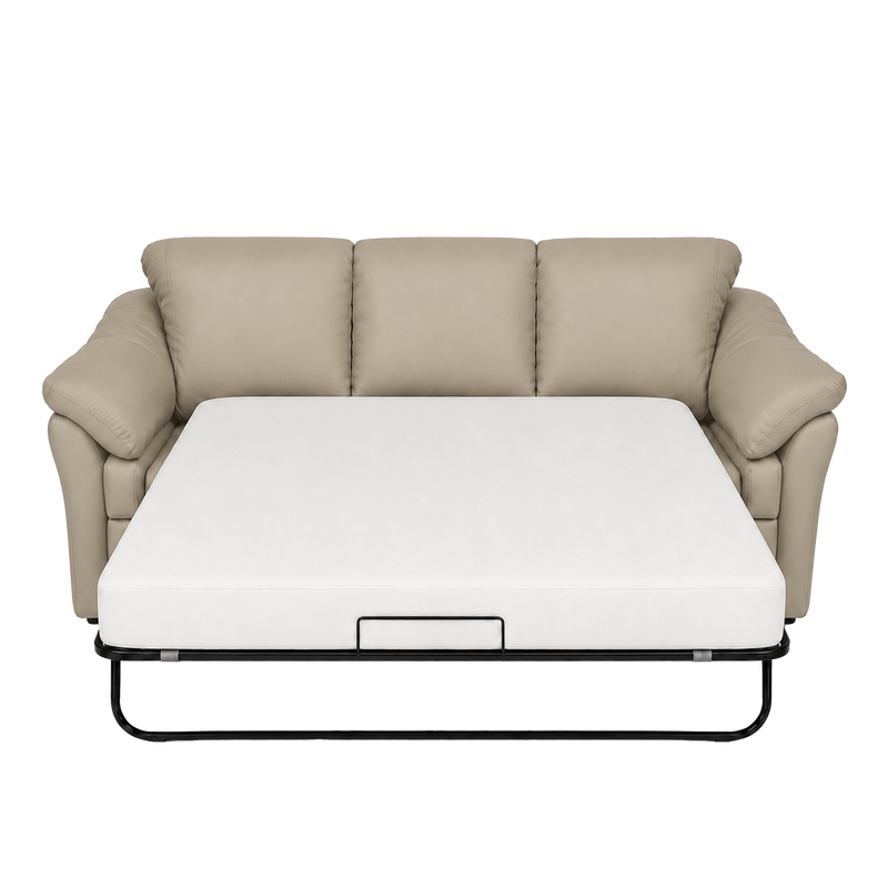 Lyons Leather Sofa Sleeper