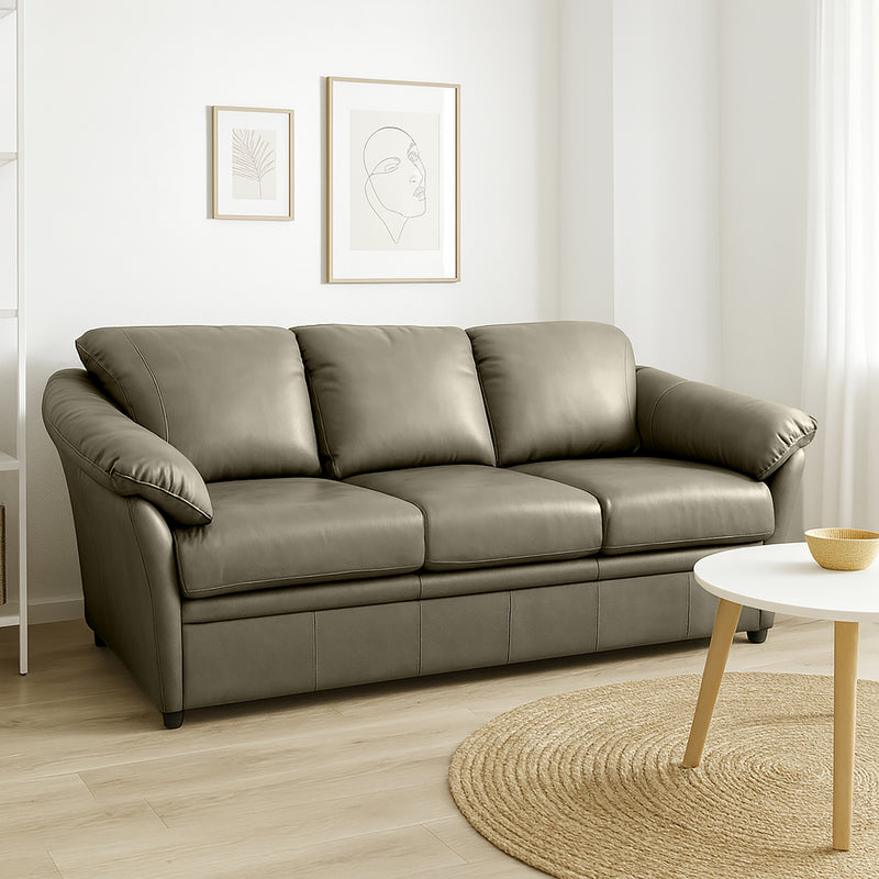 Lyons Leather Sofa Sleeper