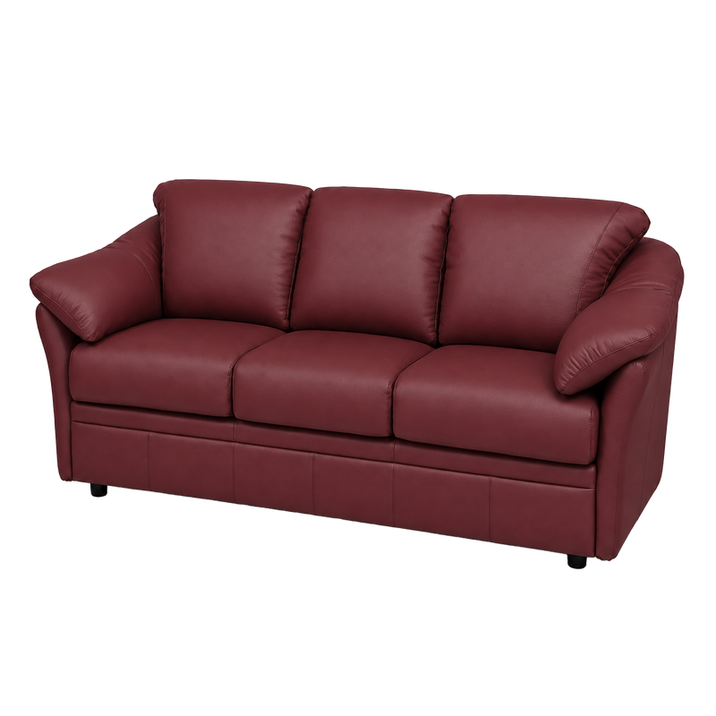 Lyons Leather Sofa Sleeper
