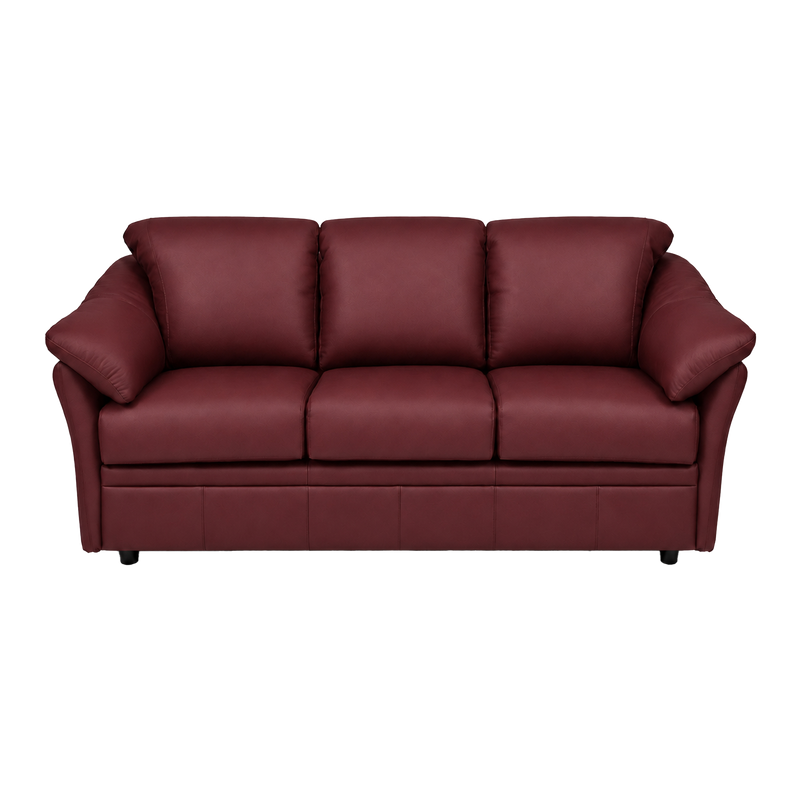 Lyons Leather Sofa Sleeper