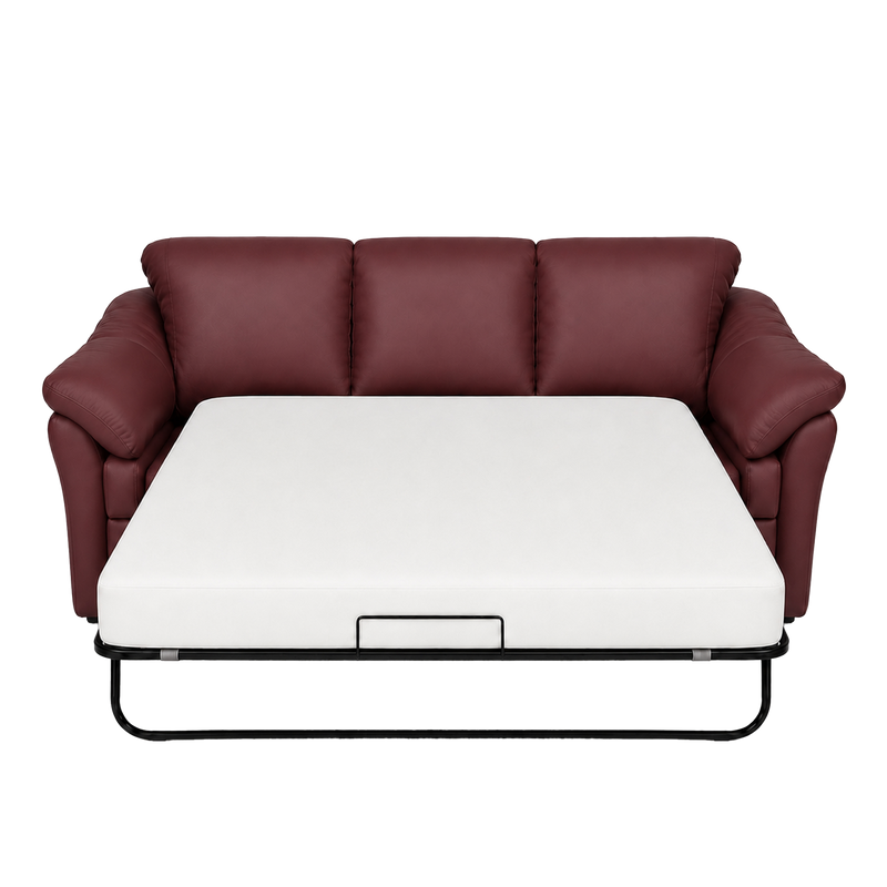 Lyons Leather Sofa Sleeper