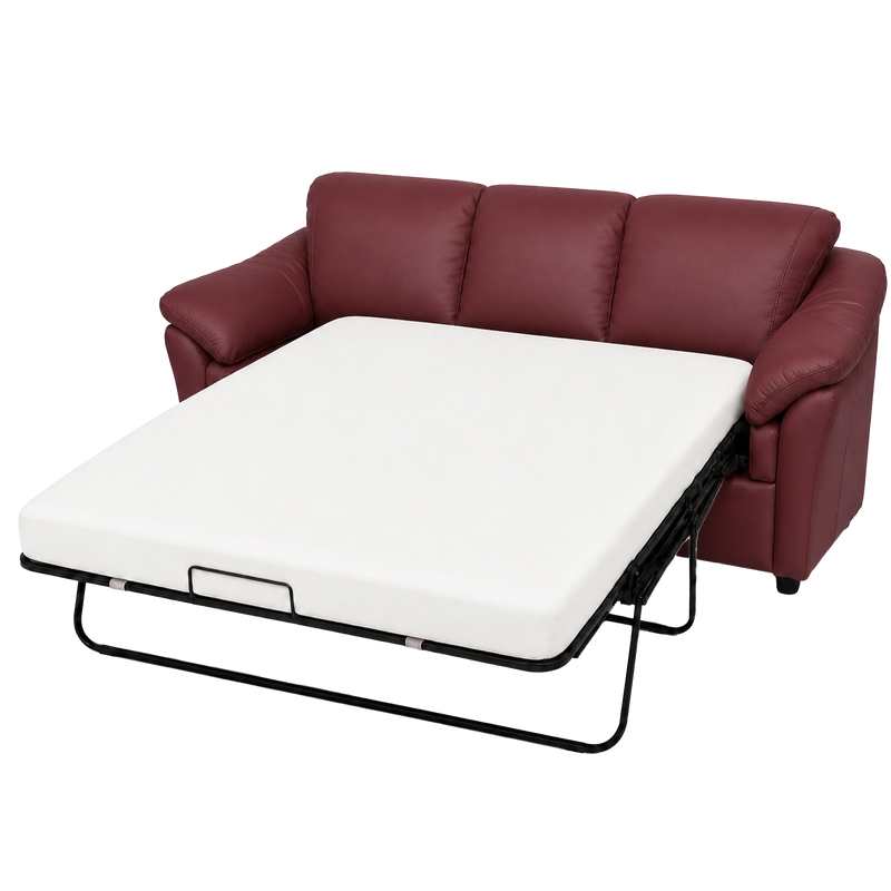 Lyons Leather Sofa Sleeper