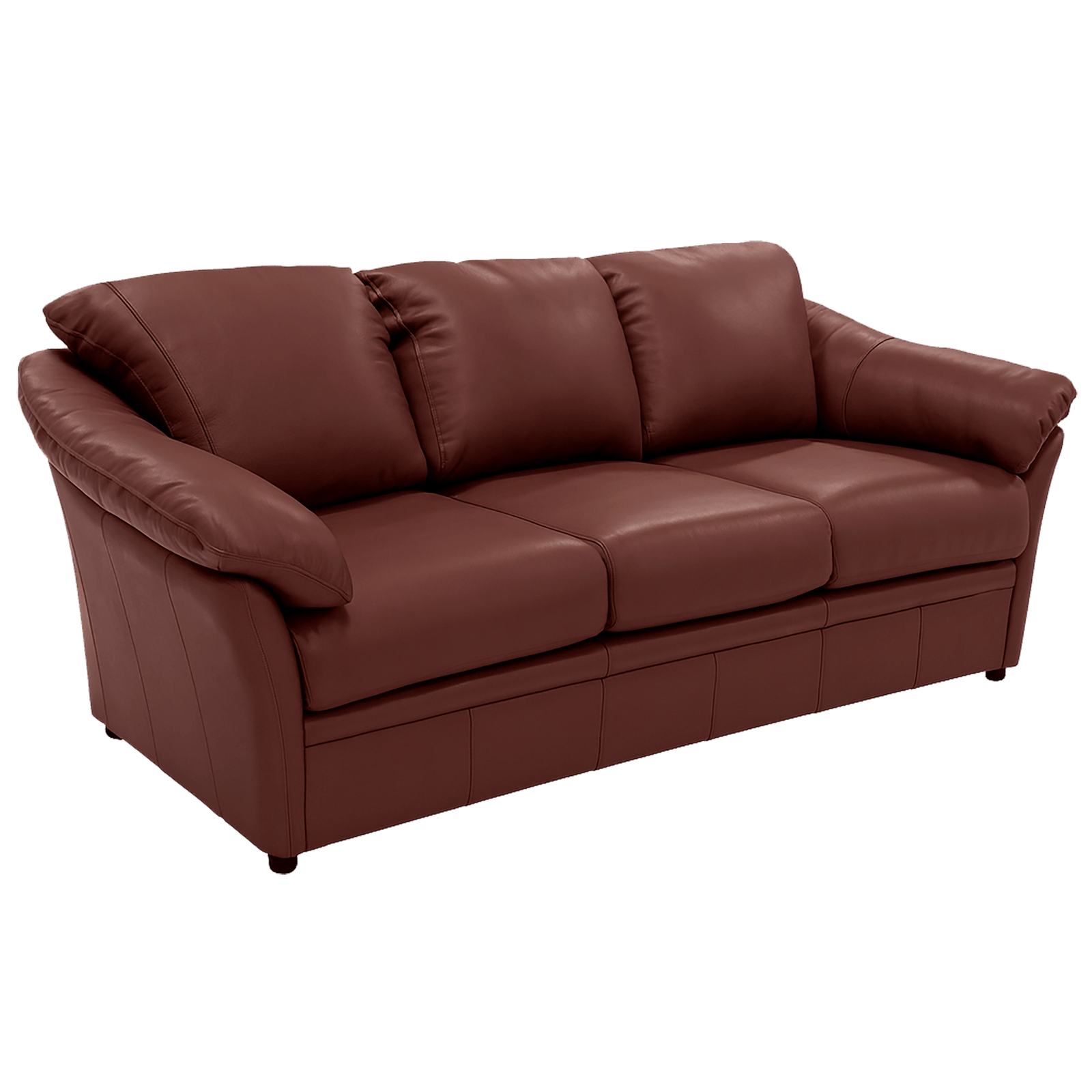 Lyons Leather Sofa Sleeper - Coja