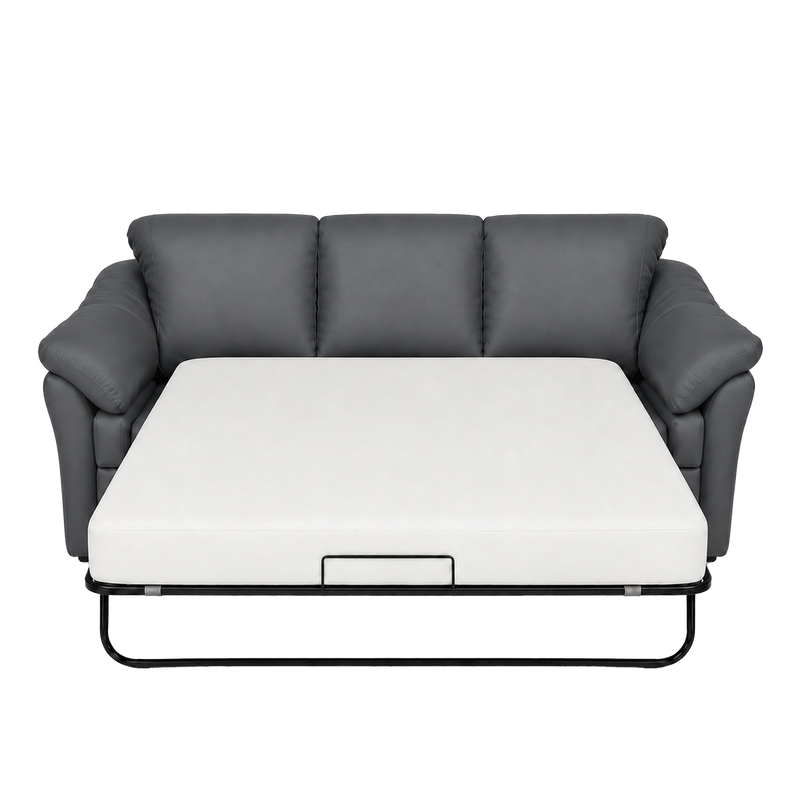Lyons Leather Sofa Sleeper