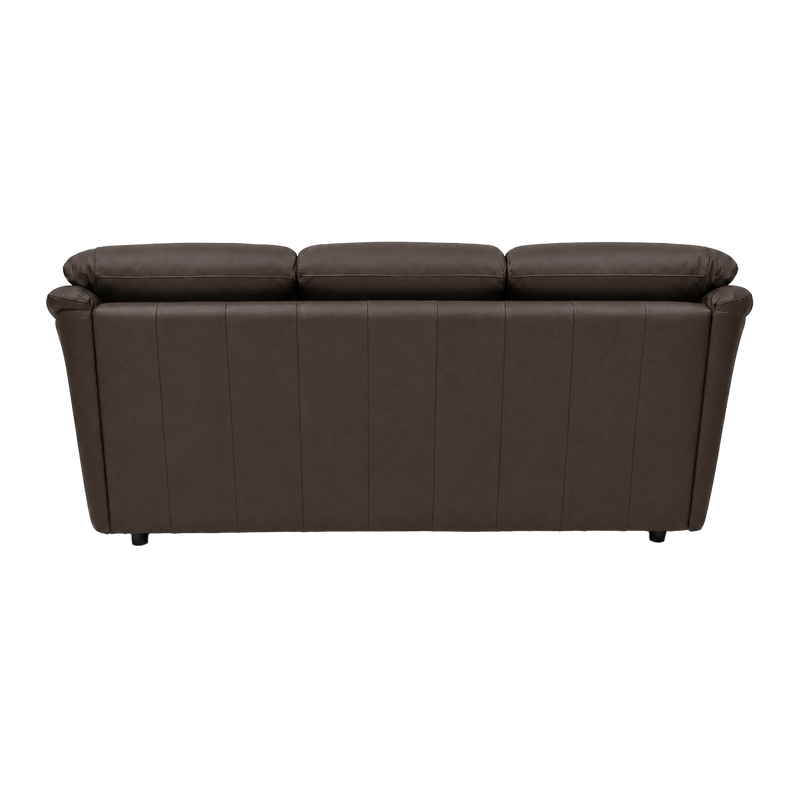 Lyons Leather Sofa Sleeper