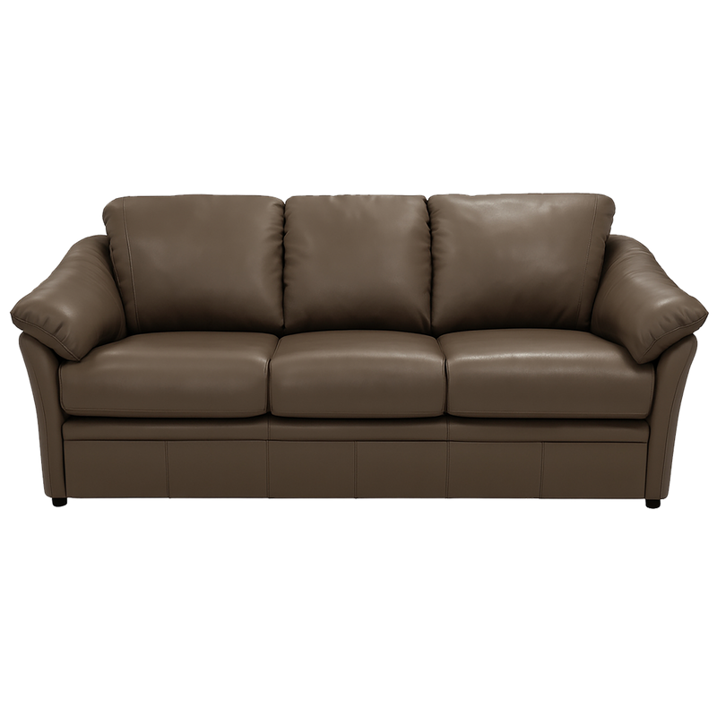 Lyons Leather Sofa Sleeper