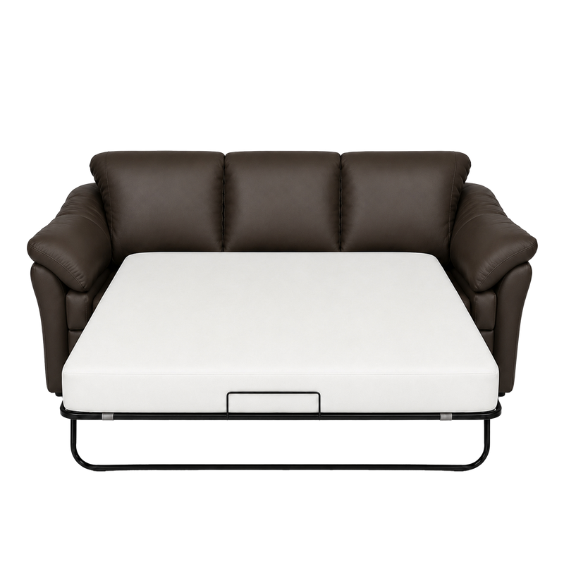 Lyons Leather Sofa Sleeper