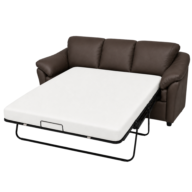 Lyons Leather Sofa Sleeper