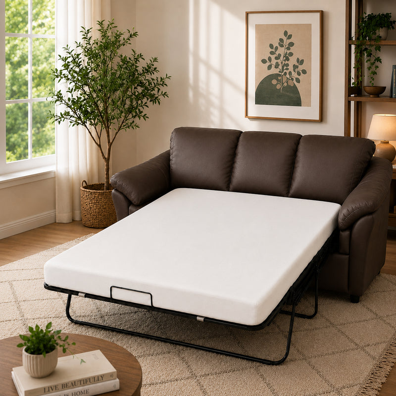 Lyons Leather Sofa Sleeper