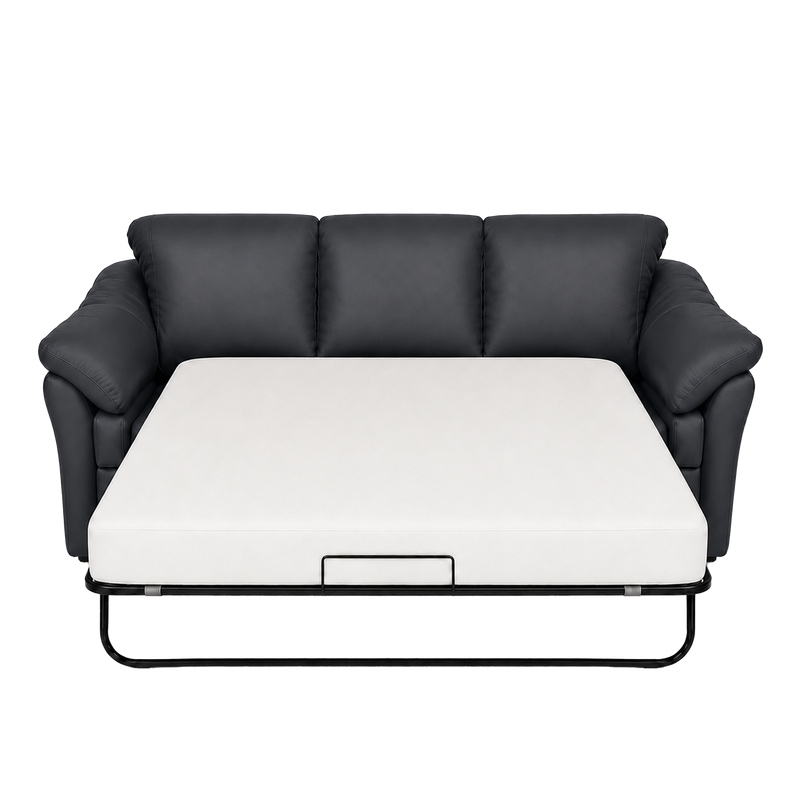 Lyons Leather Sofa Sleeper