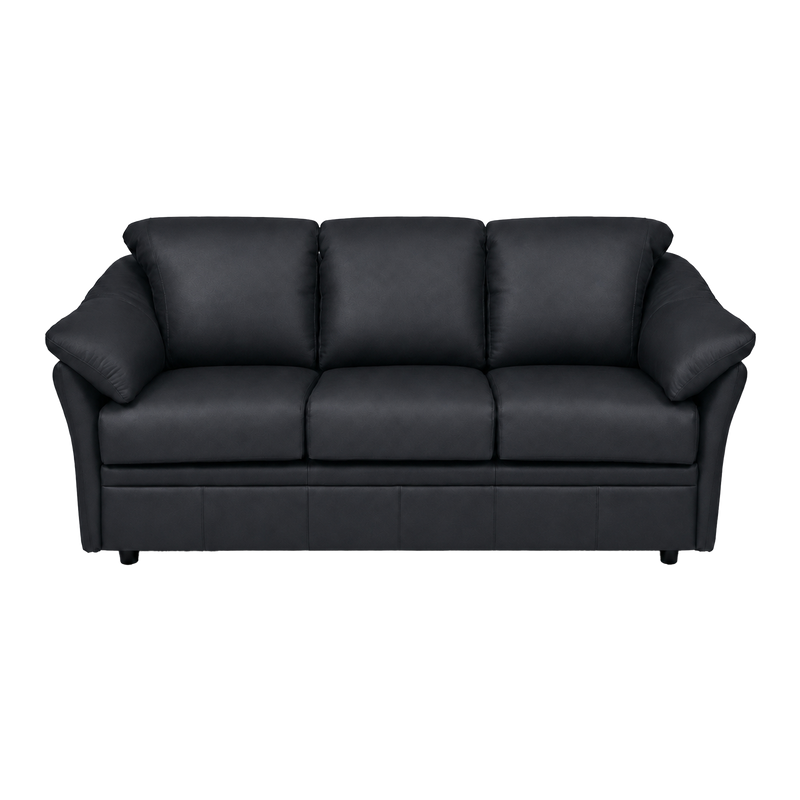 Lyons Leather Sofa Sleeper