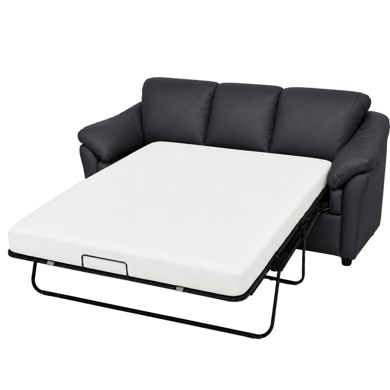 Lyons Leather Sofa Sleeper