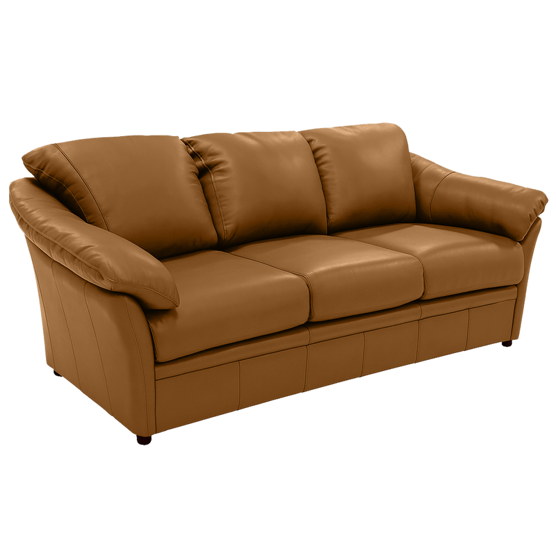 Lyons Leather Sofa Sleeper