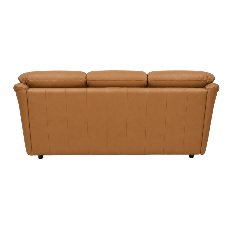Lyons Leather Sofa Sleeper