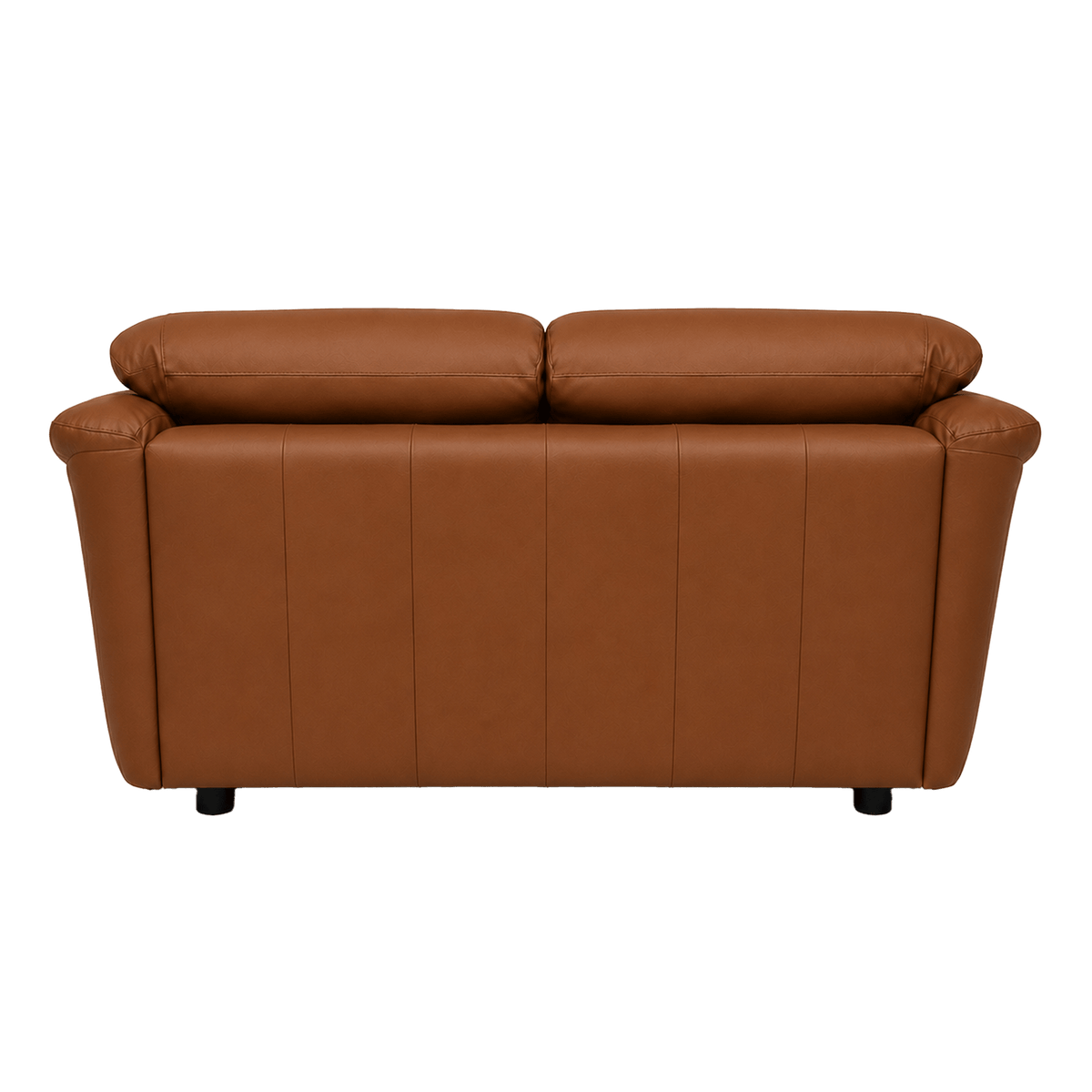 Lyons Leather Loveseat - Coja