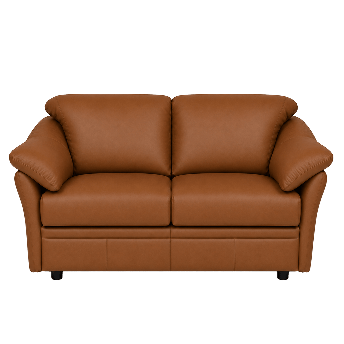 Lyons Leather Loveseat - Coja