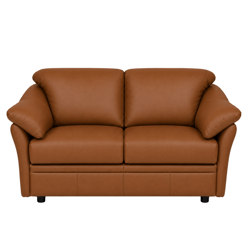 Lyons Leather Loveseat - Coja