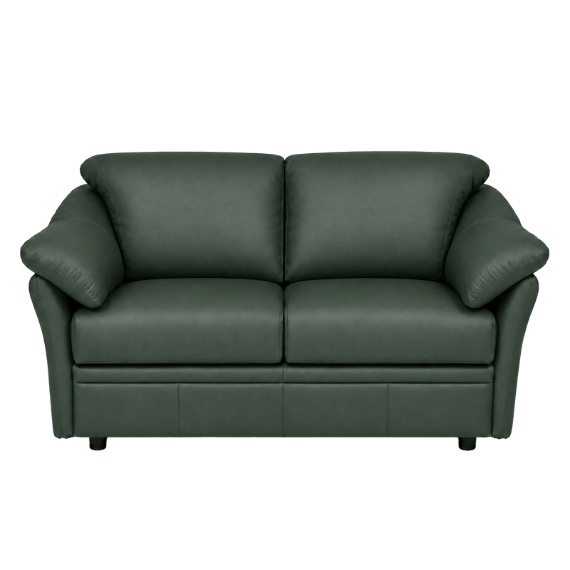 Lyons Leather Loveseat - Coja