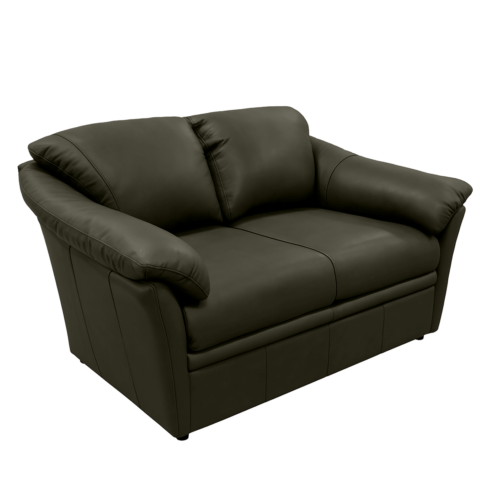 Lyons Leather Loveseat - Coja