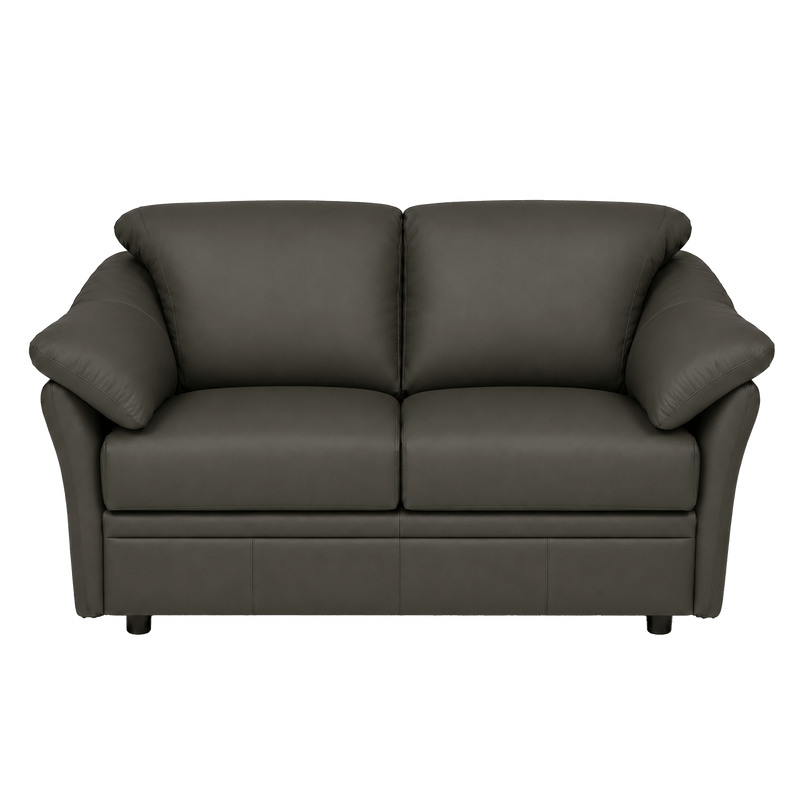 Lyons Leather Loveseat - Coja