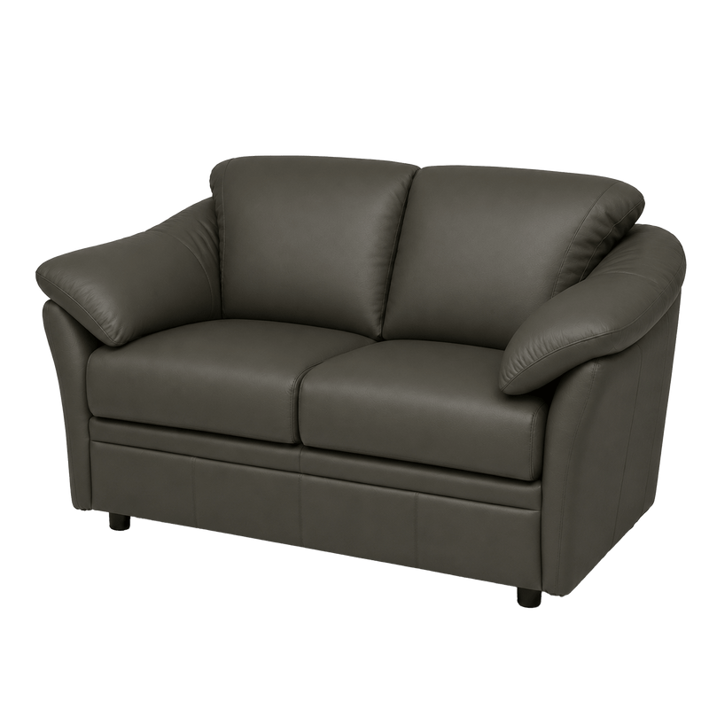 Lyons Leather Loveseat - Coja