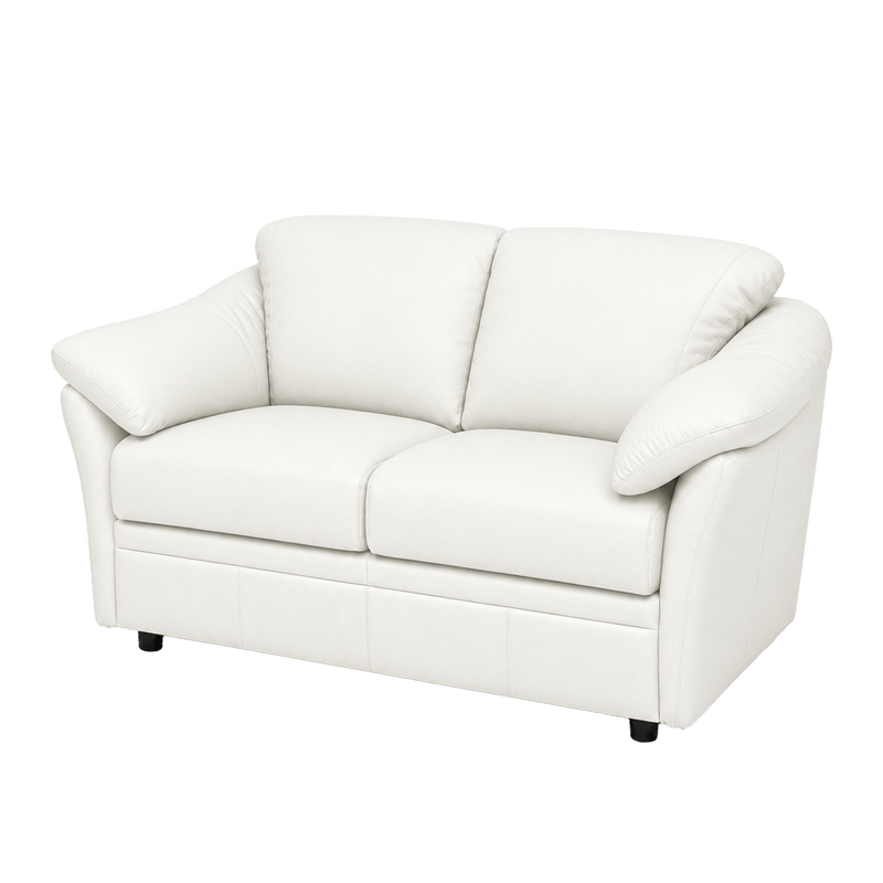 Lyons Leather Loveseat - Coja
