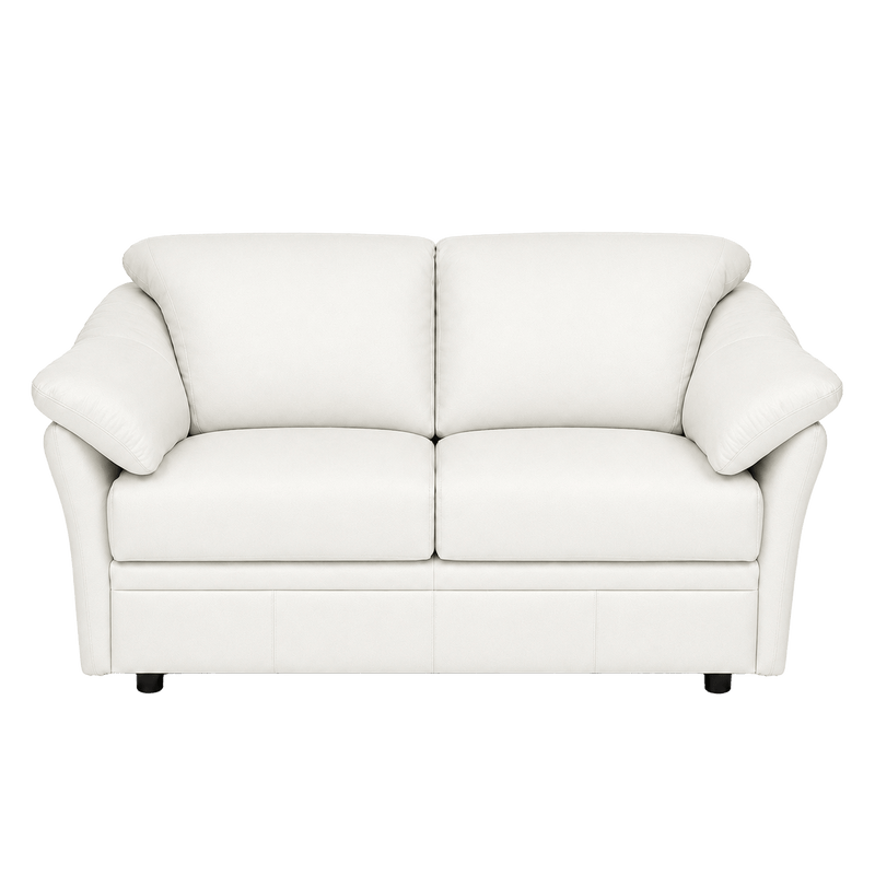 Lyons Leather Loveseat - Coja