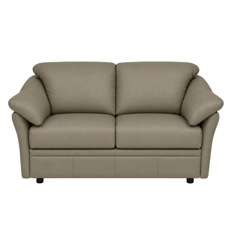 Lyons Leather Loveseat - Coja