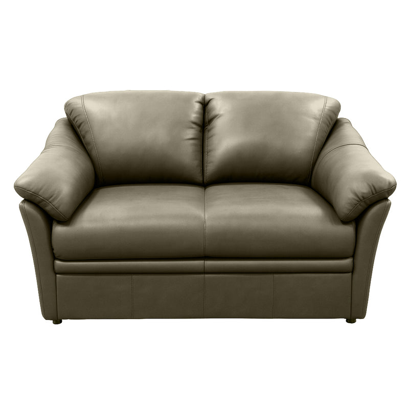 Benson Leather Loveseat