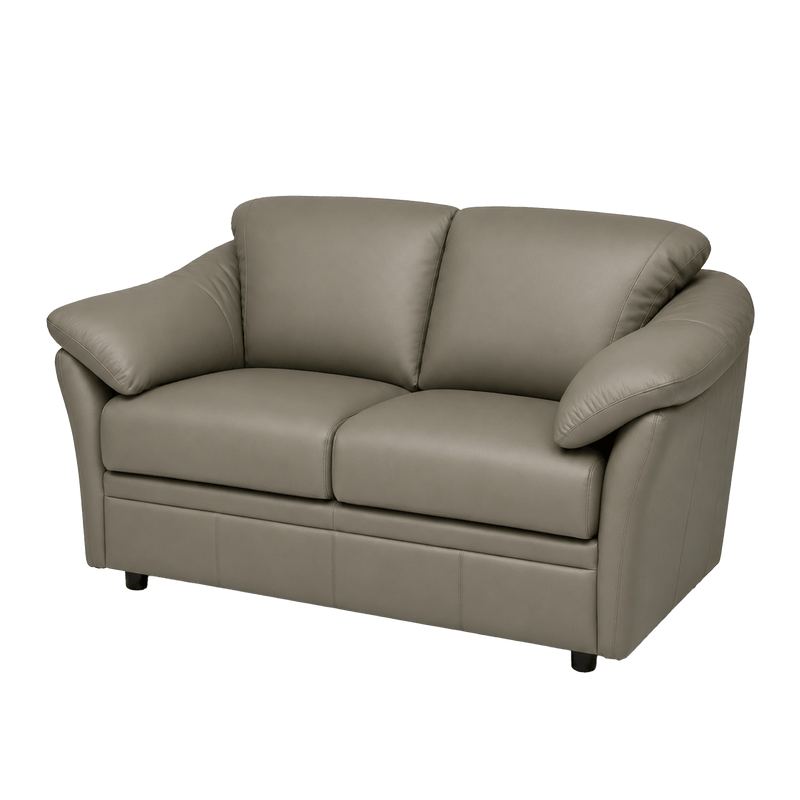 Lyons Leather Loveseat - Coja