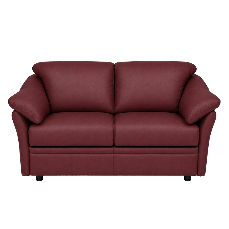 Lyons Leather Loveseat - Coja