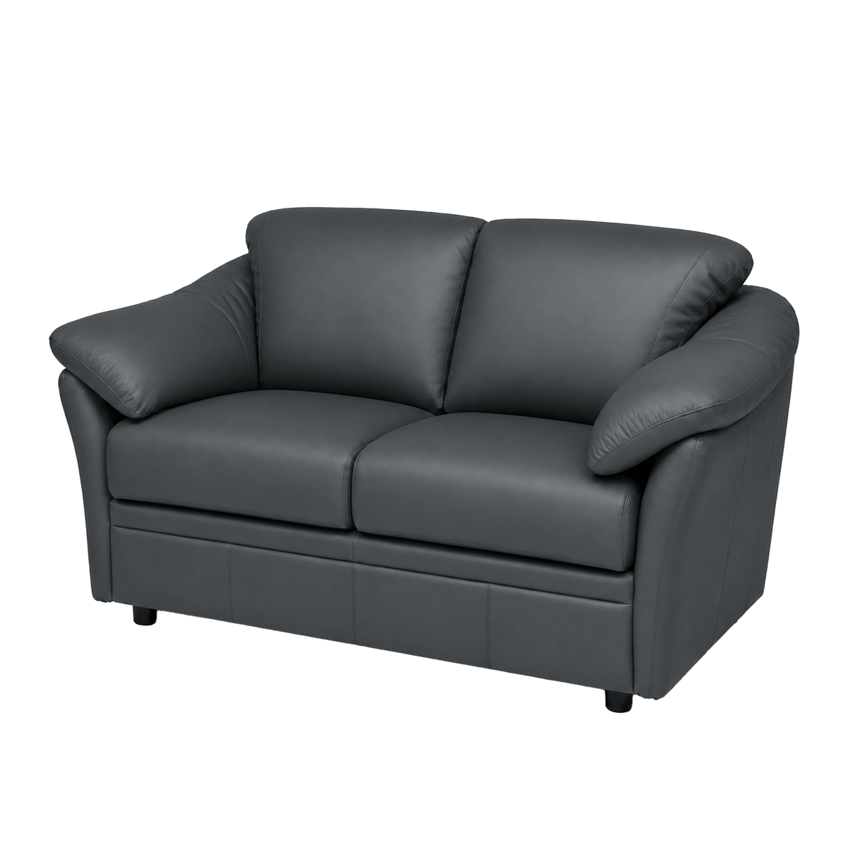 Lyons Leather Loveseat - Coja