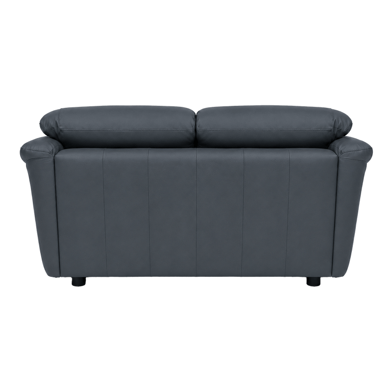 Lyons Leather Loveseat - Coja