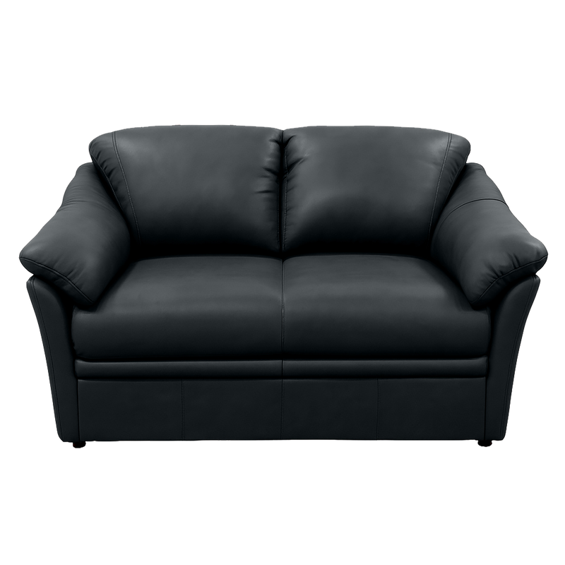 Lyons Leather Loveseat
