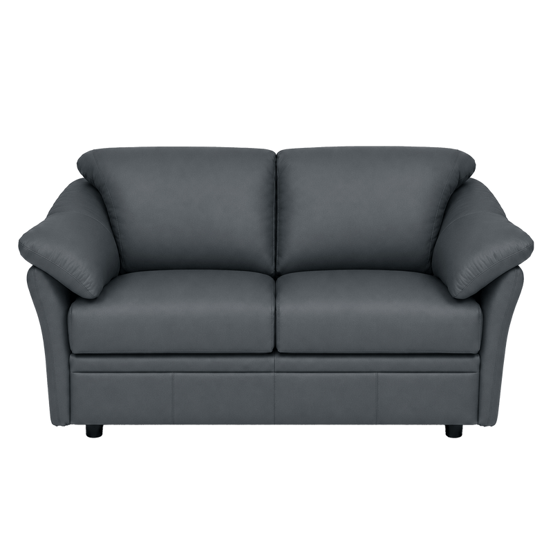 Lyons Leather Loveseat - Coja