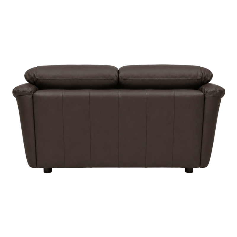Lyons Leather Loveseat - Coja