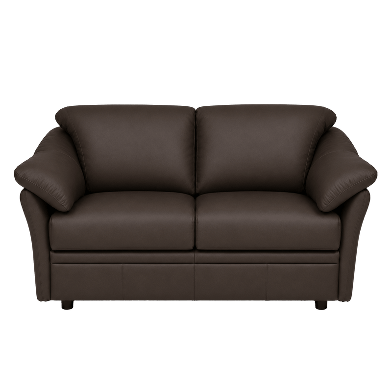 Lyons Leather Loveseat - Coja