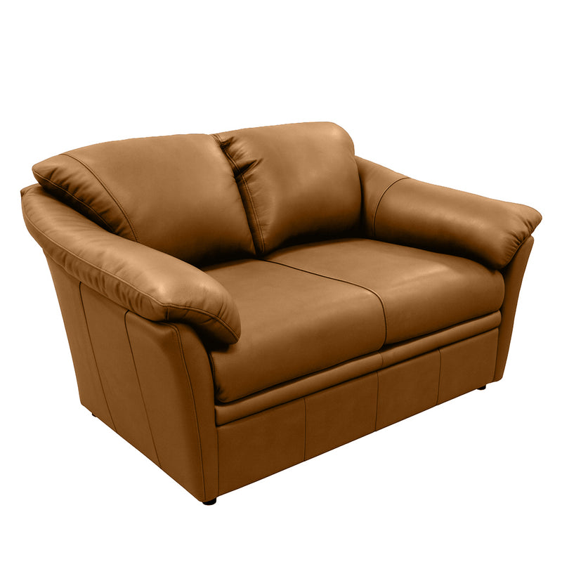 Benson Leather Loveseat